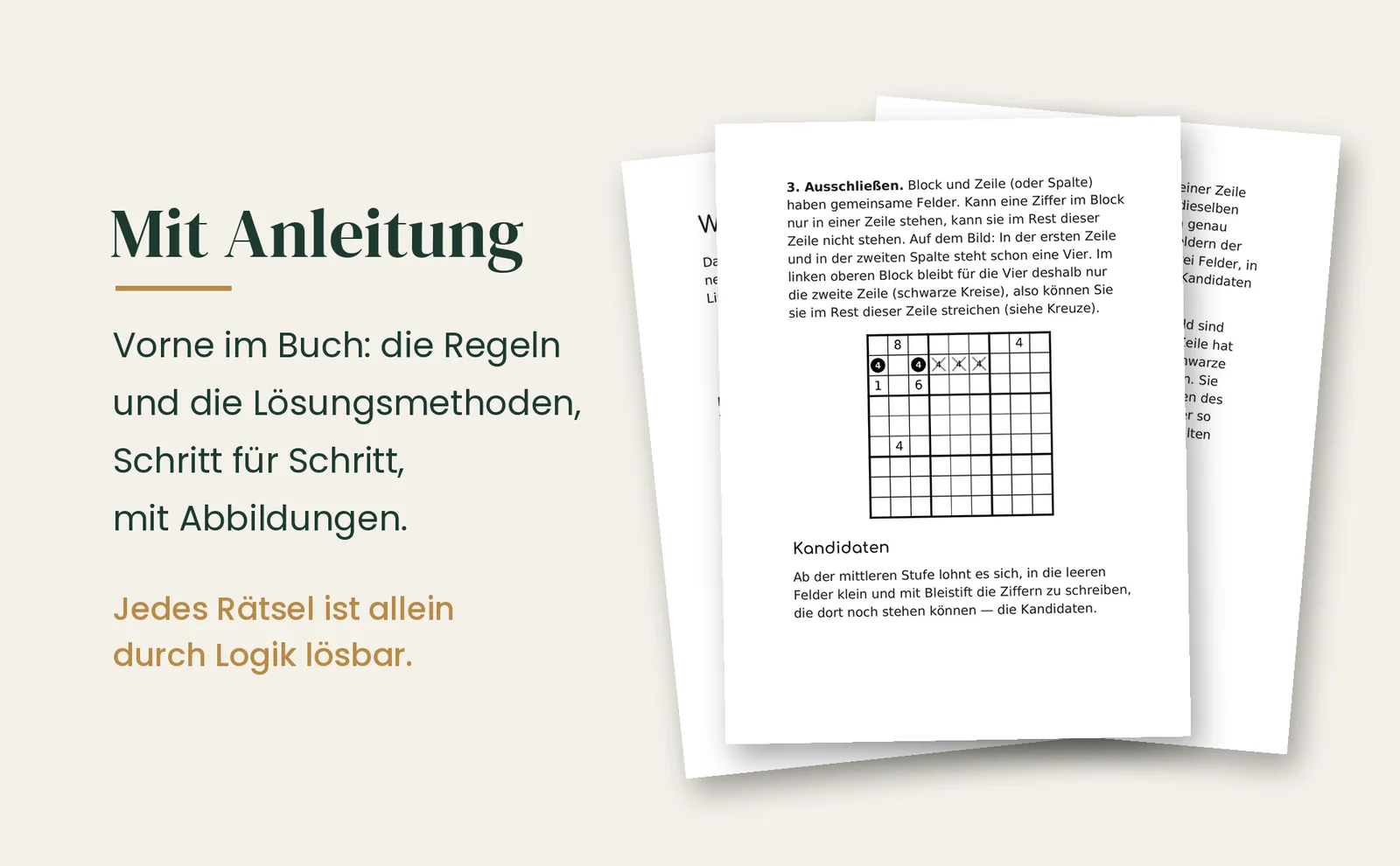 Die Anleitung im Buch: Regeln und Lösungsmethoden Schritt für Schritt, mit Abbildungen